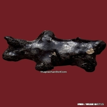 วัวธนูครูบานันตา วัดทุ่งม่านใต้ ปี2500