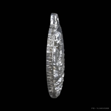 เหรียญเปิดโลก หลวงปู่ทวด วัดสะแก จ.อยุธยา ปี 2532 เนื่อเงิน