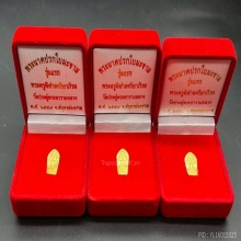 พระทองคำ.พระนาคปรกใบมะขาม วัดประดู่ รุ่นแรกปี2557