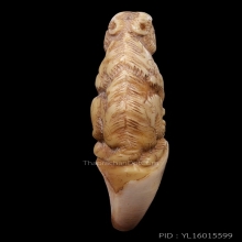 เสือ หลวงพ่อคง วัดวังสรรพรส