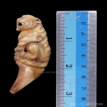 เสือ หลวงพ่อคง วัดวังสรรพรส