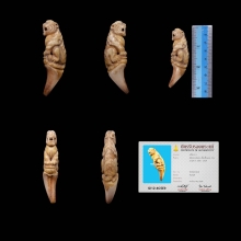 เสือ หลวงพ่อคง วัดวังสรรพรส