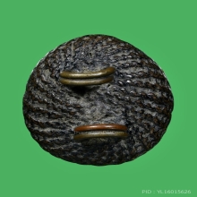 เบี้ยแก้ หลวงปู่เพิ่ม วัดกลางบางแก้ว