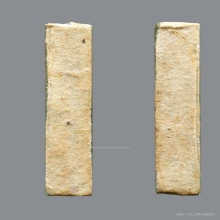 รูปถ่ายหลวงพ่อซวง วัดชีประขาว สิงห์บุรี