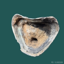 พระพุทธรูปสมัยอู่ทองหน้าแก่