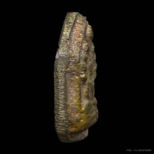 เหรียญหล่อหลวงพ่อโบ้ย พิมพ์นาคปรกเก้าหลังพระปิดตา 