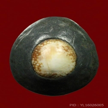 เบี้ยเปลือยเก่ามาก มองเห็นรอยจารรางๆ