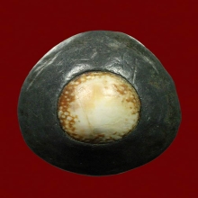 เบี้ยเปลือยเก่ามาก มองเห็นรอยจารรางๆ