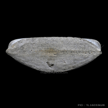 พระปิดตาตุ๊กตาใหญ่ หลวงปู่โต๊ะ วัดประดู่ฉิมพลี ปี 2521