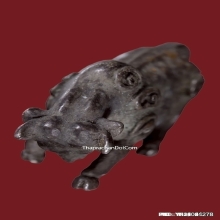 วัวธนู อาจารย์เณรวิเศษณ์ สิงห์คำ เนื้อเงิน ปี2519