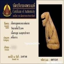 เสือหลวงพ่อสาย วัดคลองด่าน จ.สมุทรปราการ