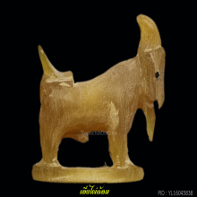 แพะหลวงพ่อลัด วัดหนองกระบอก ศีลป์บรามั่น เขาเผือก 1