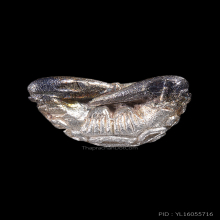 หลวงพ่อเกษม สุสานไตรลักษณ์