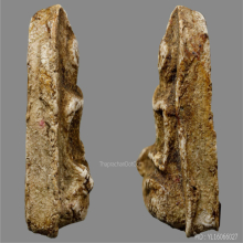 พระกรุวัดเงินคลองเตย พิมพ์พระคง เนื้อหา อย่ากับบางขุนพรหม