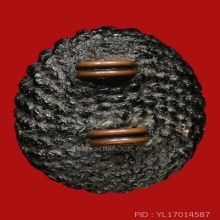 เบี้ยแก้หลวงปู่เจือ วัดกลางบางแก้ว