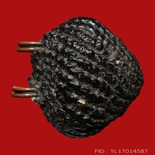 เบี้ยแก้หลวงปู่เจือ วัดกลางบางแก้ว