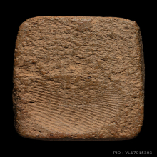 พระหลวงพ่อปาน วัดบางนมโค ปลาหมอ