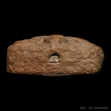 พระหลวงพ่อปาน วัดบางนมโค ปลาหมอ