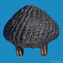 >>>..,เบี้ยโค้ด อ.เจือ วัดกลางบางแก้ว ปี48 พร้อมเซอร์ฯ