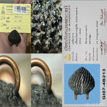 >>>..,เบี้ยโค้ด อ.เจือ วัดกลางบางแก้ว ปี48 พร้อมเซอร์ฯ