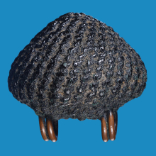 >>>..,เบี้ยโค้ด อ.เจือ วัดกลางบางแก้ว ปี48 พร้อมเซอร์ฯ