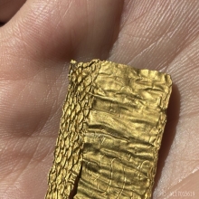 ตะกรุดสาริกาเนื้อทองคำ