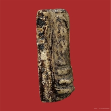 พระสมเด็จพิมพ์ พิมพ์อกครุฑวัดบางขุนพรหม