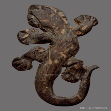 จิ้งจกหลวงปู่หน่าย วัดบ้านแจ้ง. จารนิยม