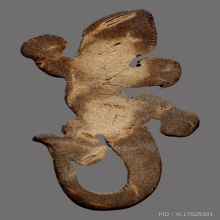 จิ้งจกหลวงปู่หน่าย วัดบ้านแจ้ง. จารนิยม