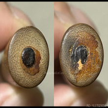 >>>..,ตะกรุดไม้รวก หลวงพ่อยิด วัดหนองจอก จาร 5แถว หายาก