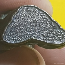 หลวงปู่ทวด อ.หม่อมนิรนามไตรภูมิ อ.นวล