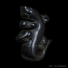 จิ้งจกหลวงปู่หน่าย ไม้งิ้วดำยุคต้น+บัตรสมาคม