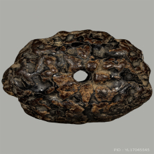 ลูกไม้ศักสิทธิ์ ลงรักสุดมันส์ “พระเจ้าห้าพระองค์”