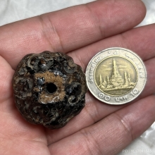 ลูกไม้ศักสิทธิ์ ลงรักสุดมันส์ “พระเจ้าห้าพระองค์”