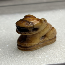 เสือหลวงพ่อเรือน วัดคลองด่าน(บางเหี้ย)