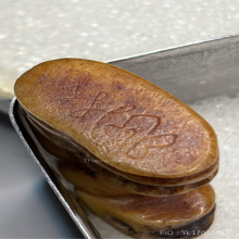 เสือหลวงพ่อเรือน วัดคลองด่าน(บางเหี้ย)