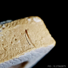 พระคำข้าวรุ่นแรกหลวงพ่อฤาษีลิงดำ วัดท่าซุง