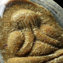 พระปิดตาผงธูป พ่อท่านคลิ้ง วัดถลุงทอง รุ่นแรก