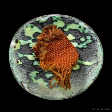 ล็อกเก็ต หลวงพ่อโอภาสี อาศรมบางมด (เขตธนบุรี) จ.กรุงเทพ