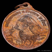 เหรียญกวางเหลียว หลวงพ่อวัดดอนตัน เนื้อทองแดง ปี2520 จ.น่าน