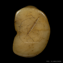 >>>..,เสือหลวงพ่อสาย วัดคลองด่าน กระดูกแกะ ดูง่าย