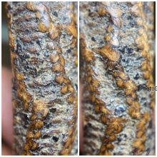 ตะกรุดจันทร์เพ็ญหลวงปู่ศุข วัดปากครองมะขามเฒ่า