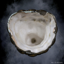 พระพุทธอุดมสมบูรณ์ 