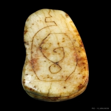 เสือหลวงพ่อสาย วีดคลองด่าน พร้อมบัตรสมาคม