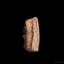 พระนางพญาเนื้อดิน หลวงปู่โต๊ะ วัดประดู่ฉิมพลี พิมพ์อกนูน