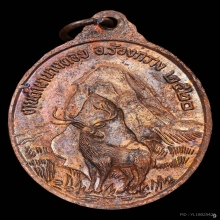 B.เหรียญกวางเหลียว หลวงพ่อวัดดอนตัน เนื้อทองแดง ปี2520จ.น่าน