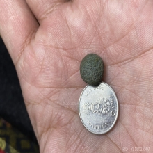 ลูกอมเมฆสิทธิ์อุปัชฌาย์ตัน วัดอู่ตะเภา