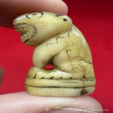 เสือหลวงพ่อสาย วัดคลองด่าน พร้อมบัตรรับรองสมาคม