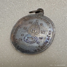 รูป หนังหน้าผากเสือ เหรียญหลวงพ่อนอ วัดกลางท่าเรือ