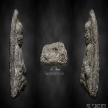 หลวงปู่ทวด ว่าน 97 พิมพ์ใหญ่ C